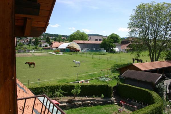 Apartment Simcha Niederwichtrach Экстерьер фото